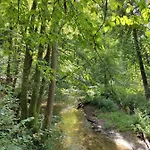 Zamkowe Wzgorze * Lidzbark Warmiński