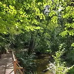 Zamkowe Wzgorze *