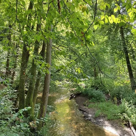 Zamkowe Wzgorze * לידזבארק ורמינסקי