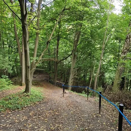 Zamkowe Wzgorze דירה *