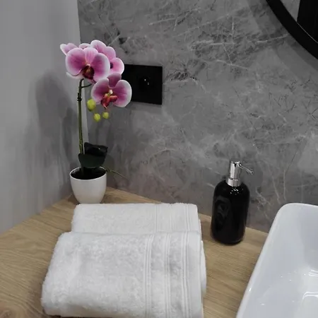 Apartment Zamkowe Wzgorze *