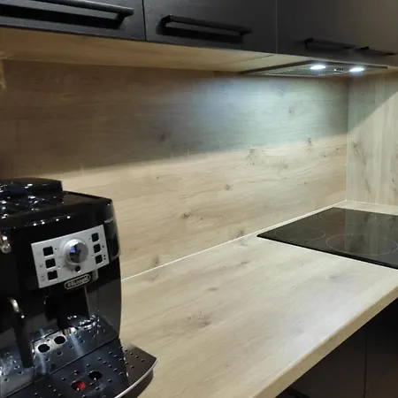 Apartment Zamkowe Wzgorze Lidzbark Warminski
