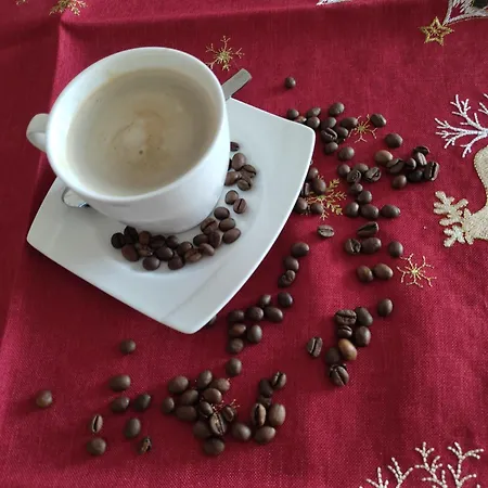 Zamkowe Wzgorze דירה *